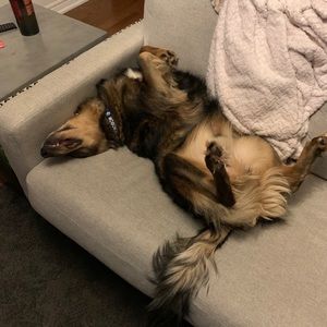 Meet your Posher, Scott